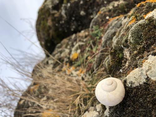 Tour de Courcourt [12-02-2022](IMG_4293).jpg